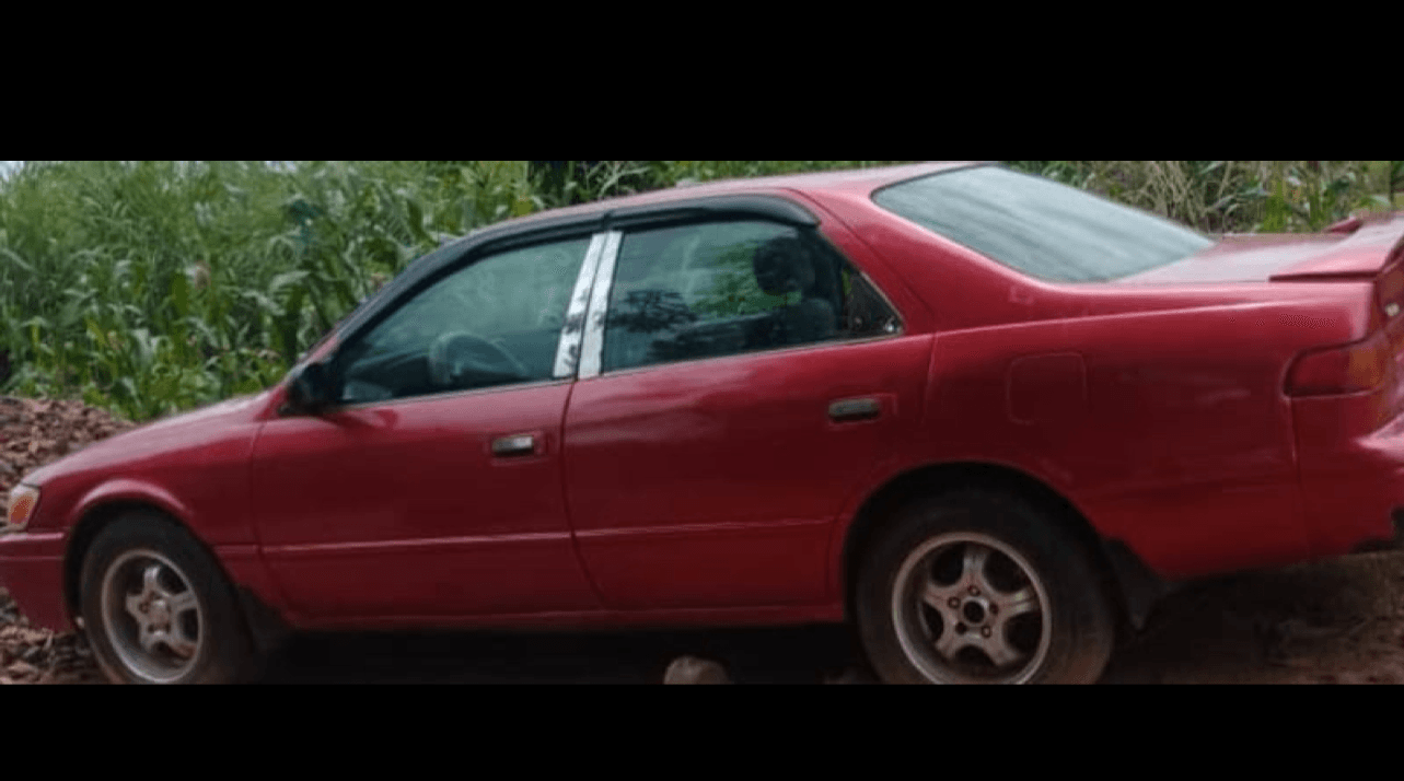 Toyota Camry Car Rental In Anambra State
