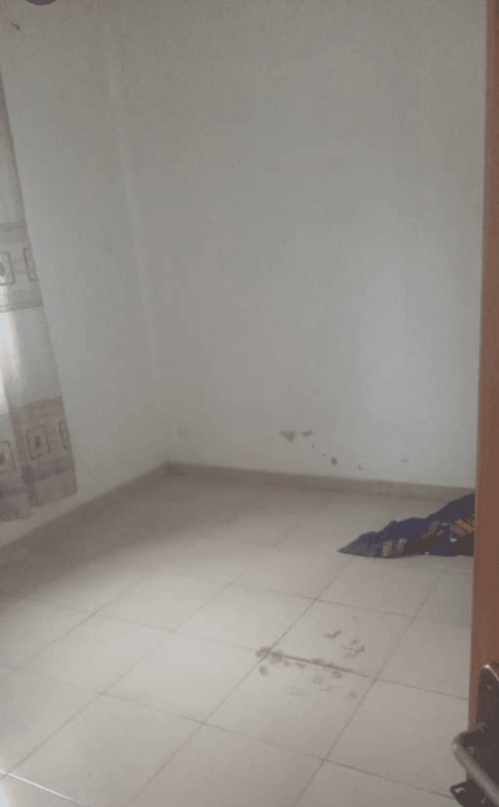 Rental